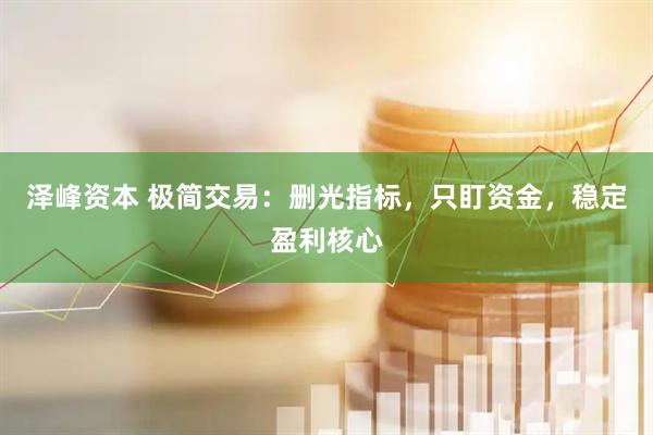 泽峰资本 极简交易:删光指标,只盯资金,稳定盈利核心