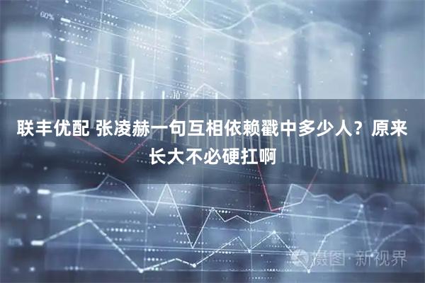 联丰优配 张凌赫一句互相依赖戳中多少人？原来长大不必硬扛啊